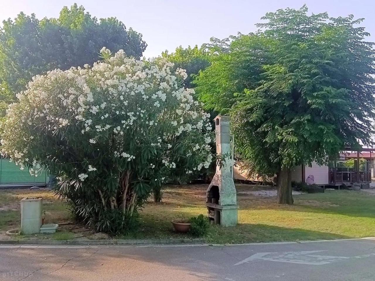 Camping L'oasi Di Lulu'